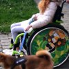 Mobilité